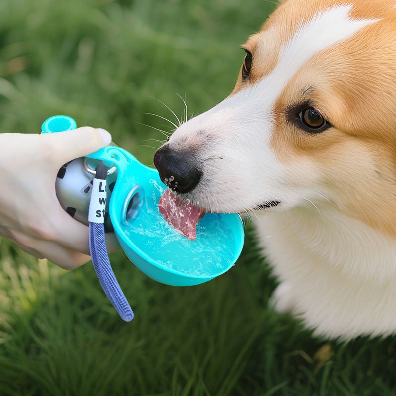 Portable Dog Water Bottle