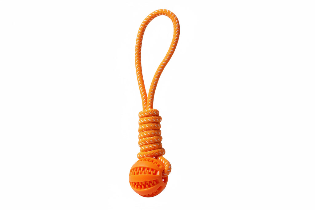 Dog ball and rope