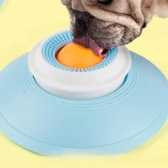 Slow Feeder Plate